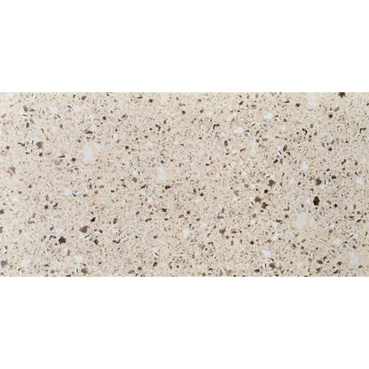 Gạch Terrazzo Porcelain mờ phẳng KT 300x600mm mã 36203