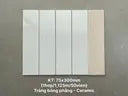 Gạch thẻ Việt Nam, Trắng bóng phẳng, KT 75x300 mm, STA75300, Hàng Ưu (1 hộp/ 50 viên/ 1.125m2)