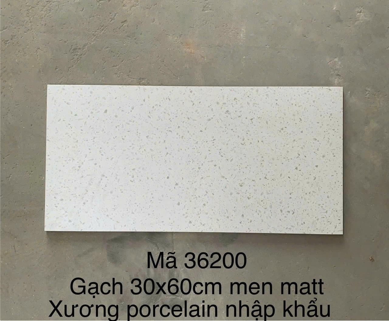Gạch Terrazzo Porcelain mờ phẳng KT 300x600mm mã 36200