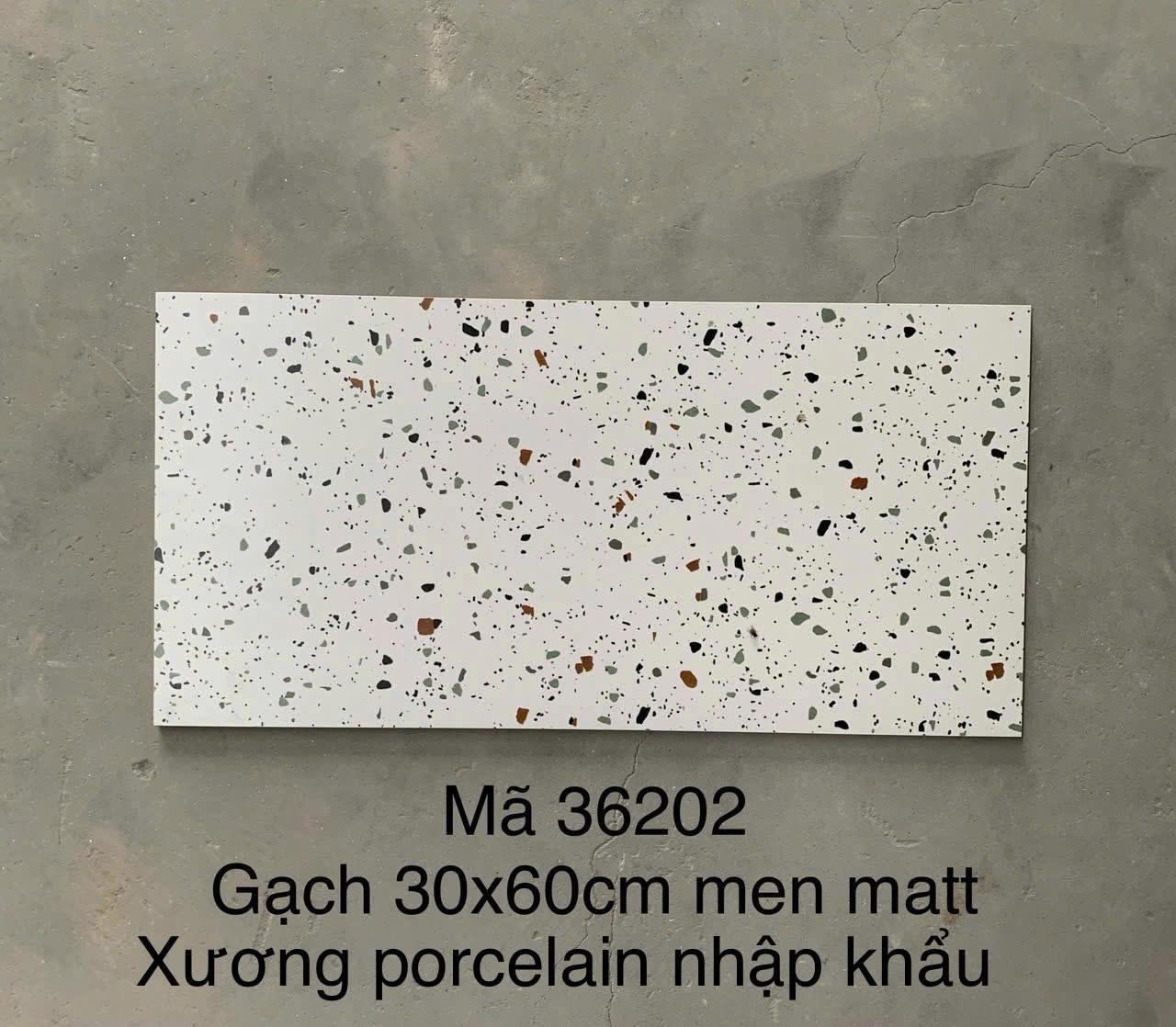 Gạch Terrazzo Porcelain mờ phẳng KT 300x600mm mã 36202