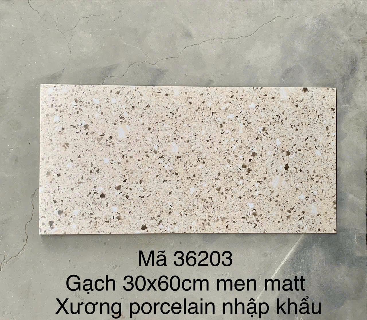 Gạch Terrazzo Porcelain mờ phẳng KT 300x600mm mã 36203