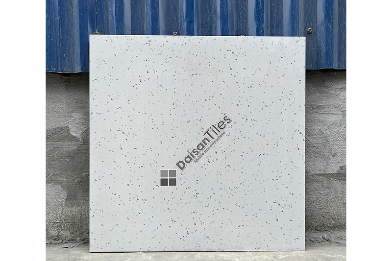 gach-terrazzo-600x600mm